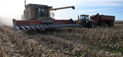 ARGENTINA-AGRICULTURE-ECONOMY-FOOD