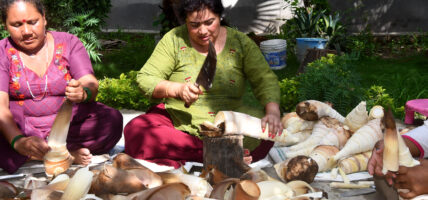 तामा एवं अचार बनाउन सफा गर्दै बासको मुना