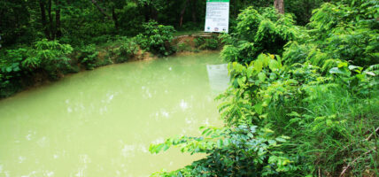 कोशी,मधेस, बाग्मती,गण्डकी र सुदूरपश्चिम प्रदेशका केही स्थानमा भारी वर्षा हुने