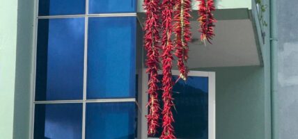 परम्परा झल्किने दृश्य
